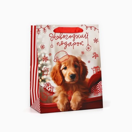 Laminated horizontal "New Year gift", MS 18 x 23 x 10 cm, New Year-1