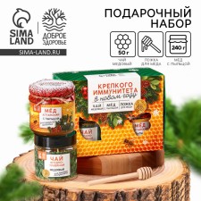 Gift set “Happy New Year: Strong Immunity”: Altai honey with pollen 240 g., Berry and grass tea 50 g, spoon for honey