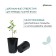 Pot for seedlings, for roses, 4 l, d = 18 cm, h = 21.5 cm, black, Greengo
