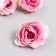 A bud on the leg for decoration "PION Pink" d = 4 cm