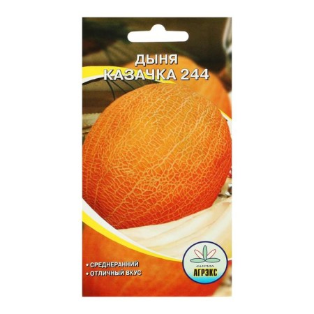 Seeds of melon "Cossack 244", 10 pcs-1