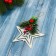 Jewelry decoration "Star, berries on a branch" 10x10 cm, white