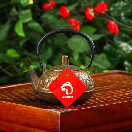 The teapot is a cast -iron shade “Wave. Ethno ", 300 ml, with sieve, bronze color-4