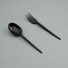 Set of disposable dishes 