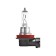 Car lamp Osram H11, 12 V, 55 W, PGJ19-2, 64211-01B
