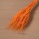Dry wheat column, set 50 pcs., Orange color