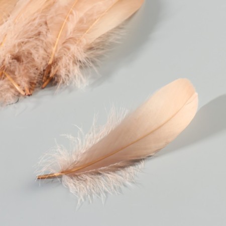 A set of feathers of the goose 13-18 cm, 20 pcs, light brown-2