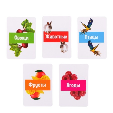 Developing set with hammers "Cards of Doman"-2