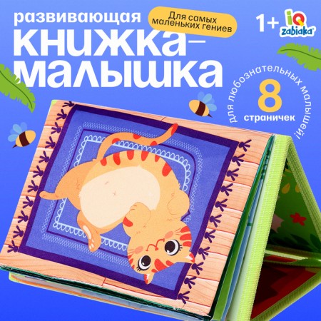 Developing book with the mirror "Interceptic development"