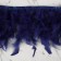 Tesema with feathers turkey, 13-17 cm, 5 ± 0.5 m, dark blue color