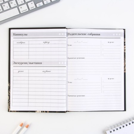 Set "Golden Teacher": A5 diary A5 160 sheets, planing 50 sheets and pen Plastic-7