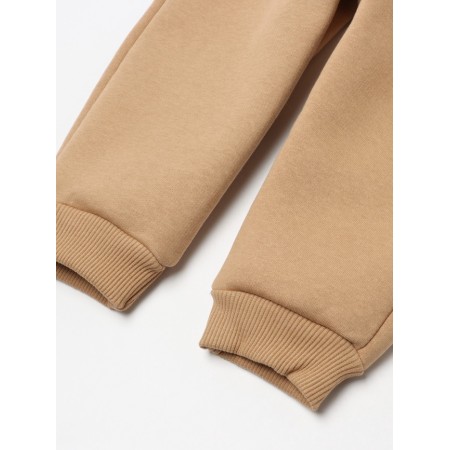 Costume: sweatshirt and pants crumb I Dino, height 62-68, brown-11
