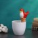 The irrigator "Bird", 16.5 × 8.5cm, color mix, set 4 pcs.
