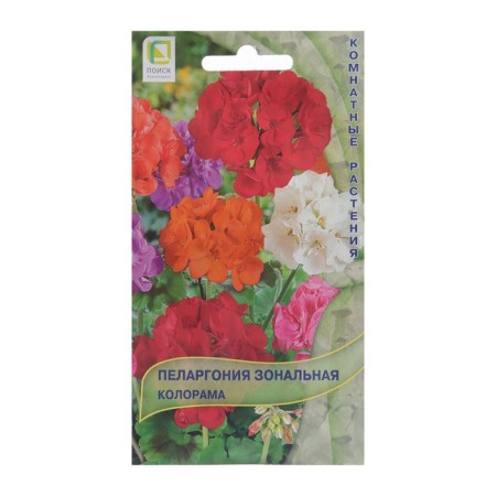 Flower seeds Pelargonium zonal "Coloram" 0.05 g
