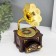 Musical Mechanical Mechanical "Gramophone" 25x13x14 cm