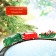 Railway "New Year's journey", light, on batteries