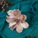 Decor "Winter Flower" Assorted leaves, 18x20 cm, pink-beige