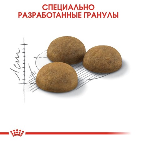 Dry food RC Indoor Long Hair for home long -haired cats, 2 kg-2