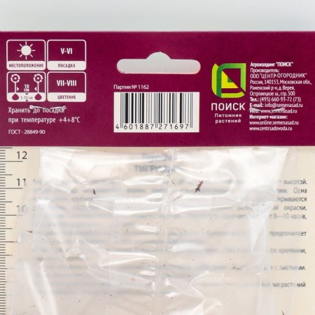 Tigridia Pavkovin Dark-Pink, 10 pcs, rr 5/7, spring 2025-1