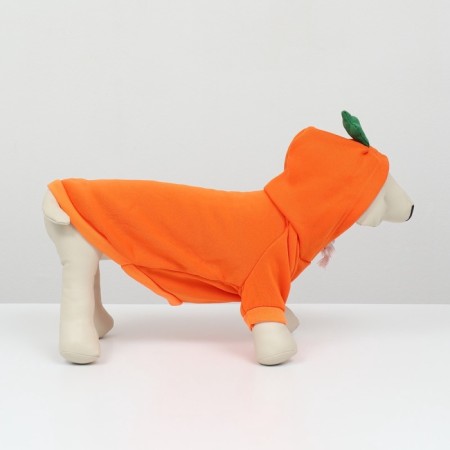 Sweep "Favorite Carrot", size M (DS 30, OG 44 cm)-2