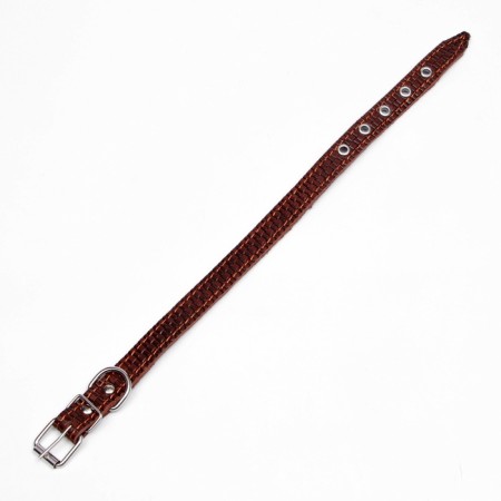 Leather collar with embossing on synthetic winterizer, 46 x 2 cm, Osh 25-35 cm, brown-4