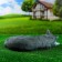 Garden figure "Cat Kuzya" 40x24x13cm