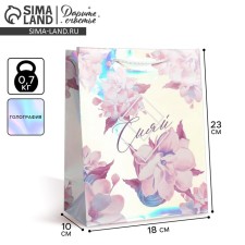 Gift holographic package, packaging, “Shine”, 18 x 23 x 10 cm