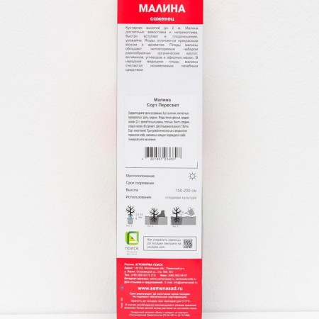 Raspberry traditional varieties "Peresvet", 1 pc, tube, spring 2025-2