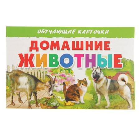 Training cards "Pets"