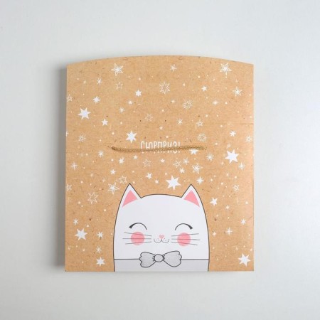 Package - Surprise! ", 23 x18 x11 cm-5