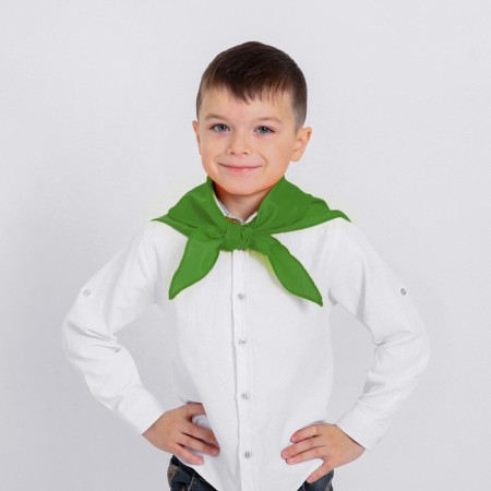 Pioneer tie, green color, shades mix-4
