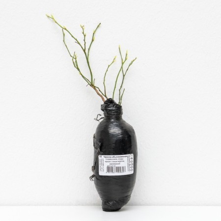 Common blueberries (series North Garden), 1 pc, tube, spring 2025-1