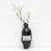 Common blueberries (series North Garden), 1 pc, tube, spring 2025