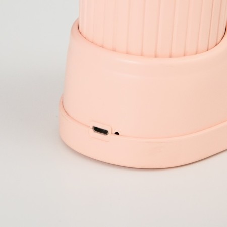 Table lamp "Boat Hare" LED 3 modes 3W USB Organizer Pink 8x11x31 cm Risalux-11