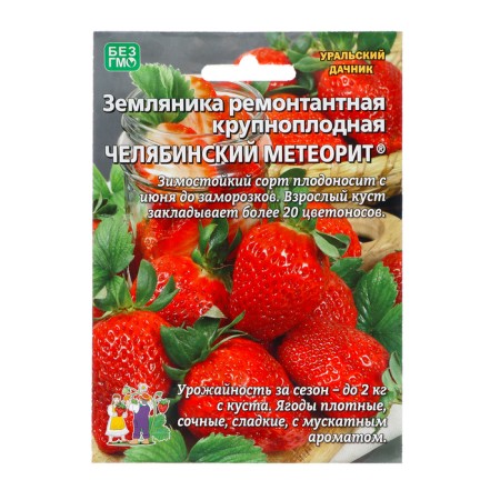 Strawberries "Chelyabinsk meteorite", 10 pcs