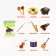 Mix Training cards according to the method of Glen Doman “We Expand the horizons”, 10 pieces, A6, 2+