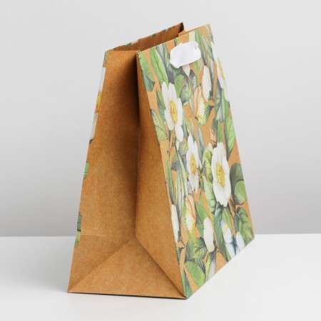 Package Gift Craft Horizontal, Packaging, "Botany", Ml 23 x 27 x 11.5 cm-2