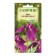 Seeds Iris "Blue Flag", 3 pcs