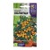 Seed Tomat "Zolotze", 0.05 g