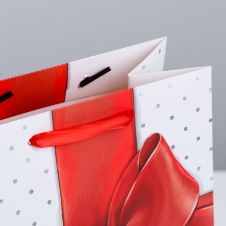 Gift Laminated Vertical, packaging, “special person”, Ml 23 x 27 x 11.5 cm-3