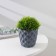 Pot for flowers with a “Wave” pallet, 0.65 l, d = 11.5 cm, color gray color