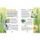 Butterflies. Children's Encyclopedia