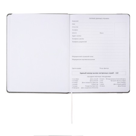 Universal diary for grades 1-11, hard cover, artificial leather, elastic band, lies, tinted block, 48 sheets-11