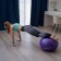 Fitball ONLYTOP, D = 65 cm, 900 g, anti -wings, purple color