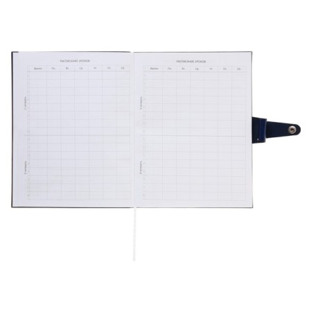 Universal diary for grade 1-11 Favorite, soft cover, button, artificial leather, foil embossing, refrain, lies, 48 ​​sheets-17