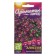 Flower seeds Alissum "Violet Queen", this. Alt, c/p, 0.1 g