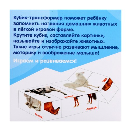 Developing transformer "smartik: pets"-7