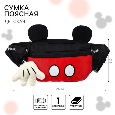 Bear Bag, 20x16x5 cm, Mickey Mouse-6
