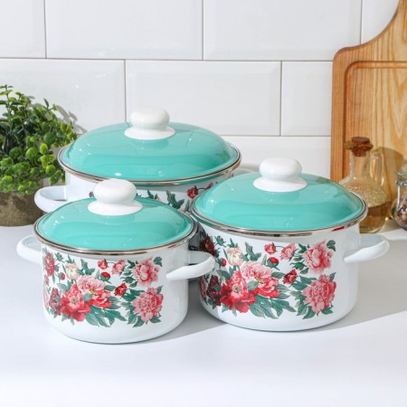 Set of pots "Armel", 3 subjects: 2 l, 3 l, 4 l, enameled covers, induction