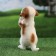 Garden figure "A begging dog" 10x16x22cm